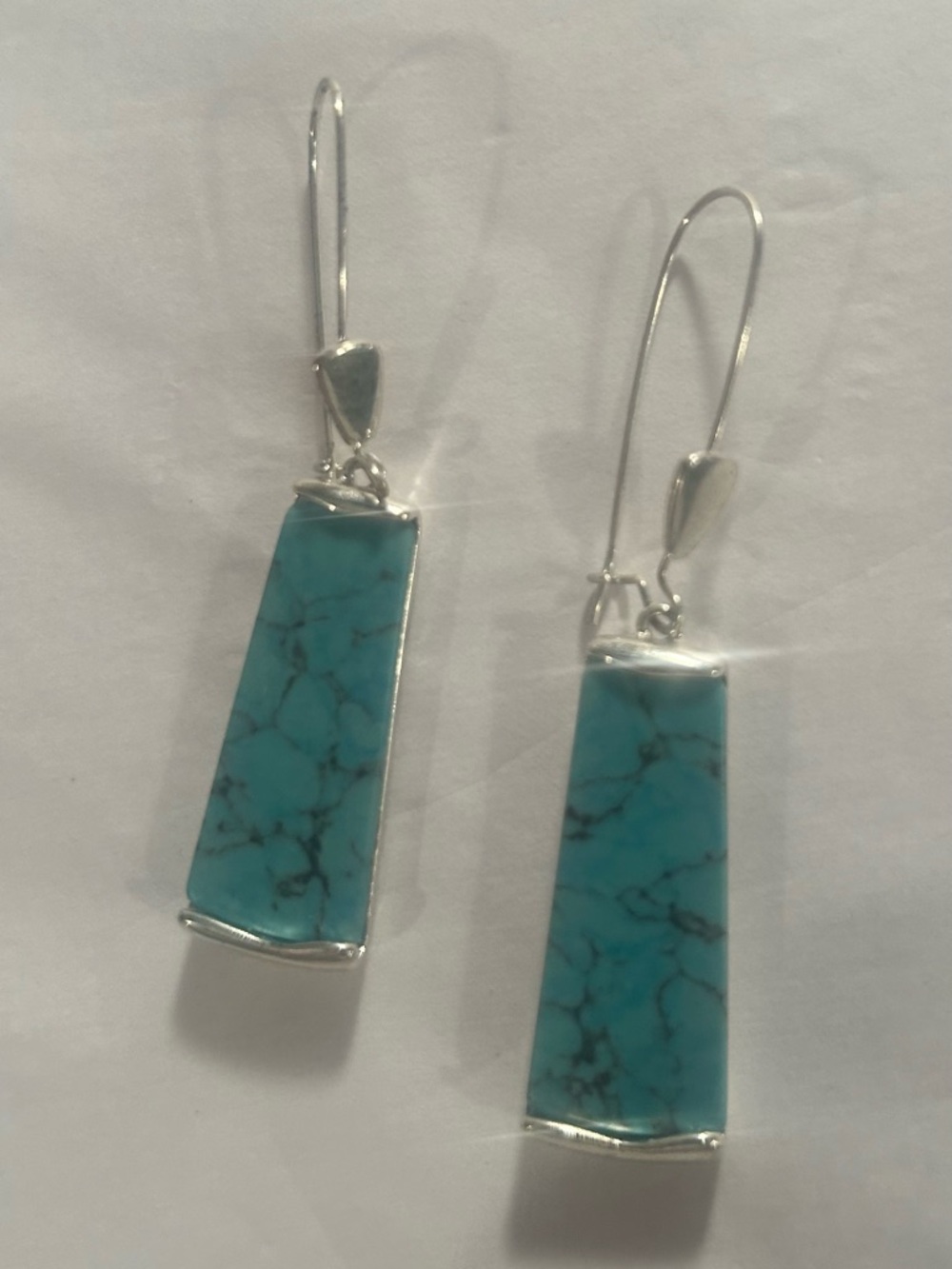 Turquoise Drop Earrings in Silver-Trim